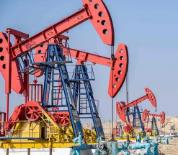 公司参加2026年稠油高效开发技术研讨会